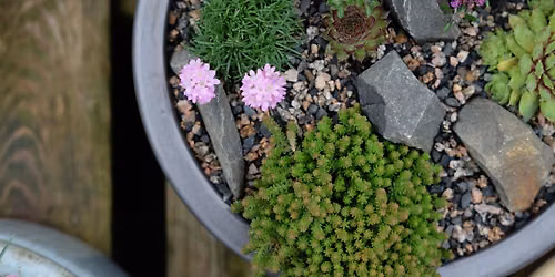 Alpine Planter Workshop