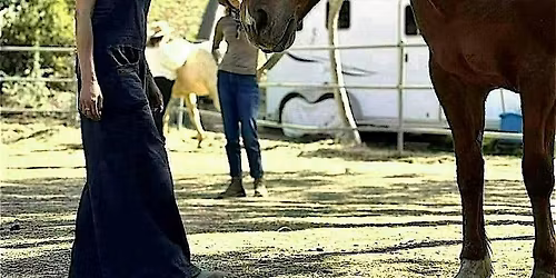 HORSE CONNECTION + SOUND HEALING - PRIVATE RANCH