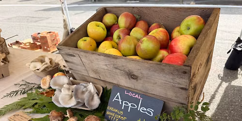 Stanwood Farmers Market Holiday Fair