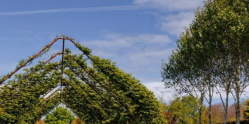 Transforming Outdoor Spaces: A Landscape Tour