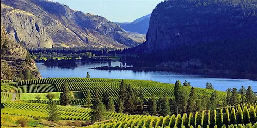 Iconic Wineries of BC