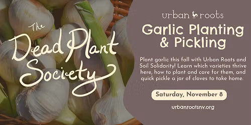 Garlic Planting & Pickling with Soil Solidarity  |  Dead Plant Society Workshop