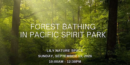 Forest Bathing in Pacific Spirit Regional Park