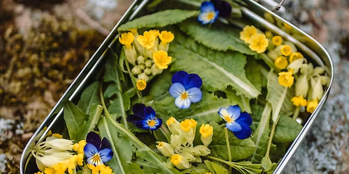 Spring Greens! Wild food forage, cook and feast