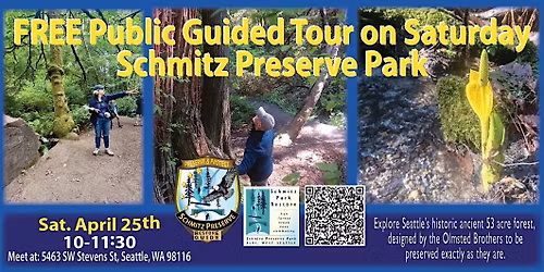 See the Beginning of Spring Under the Natural Forest Canopy