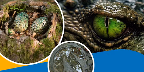 Roar and Lore: Creatures of Wonder