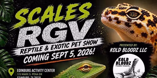 Scales RGV 2026