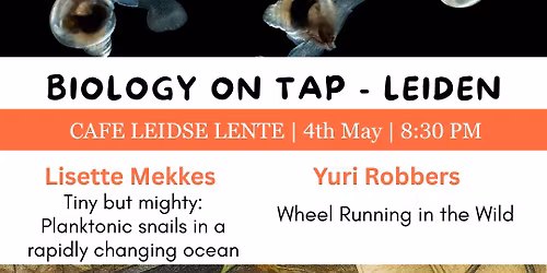 Biology on Tap May