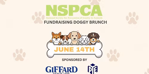 PYE Doggy Brunch in aid of the NSPCA