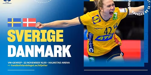 Handbollslandskamp Sverige-Danmark