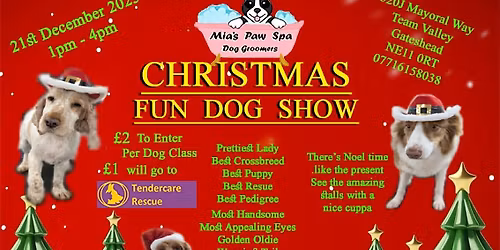 Fun dog show