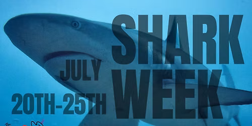 Shark Week: Pottery Painting Party