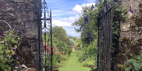 Gloucestershire Wild Food Foraging Walk\/Course