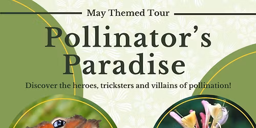 Pollinator's Paradise