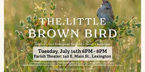 The Little Brown Bird