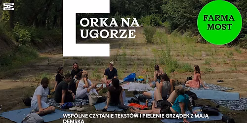 Orka na ugorze \ud83d\ude9c czytanie tekst\u00f3w i pielenie grz\u0105dek w ramach festiwalu WARSZAWA W BUDOWIE