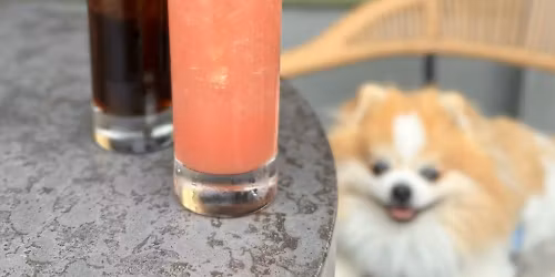 HellaSecret Polk Street Comedy and Cocktail Night at Mayes Oyster House