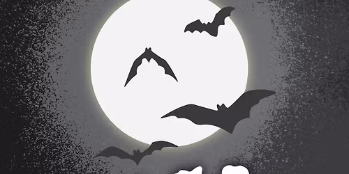 Mystery Halloween Movie Night 2025