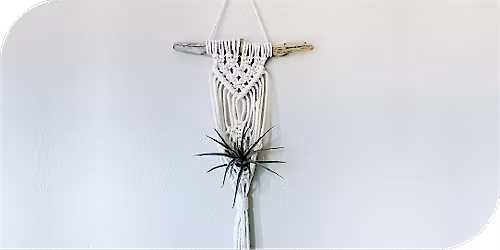 Macram\u00e9 Air Plant Holder Workshop