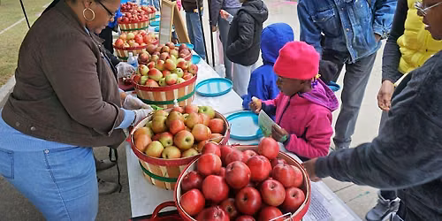 NEW DATE: Palmer Park HARVEST FEST Oct 3, 2026: Volunteer & Attend!