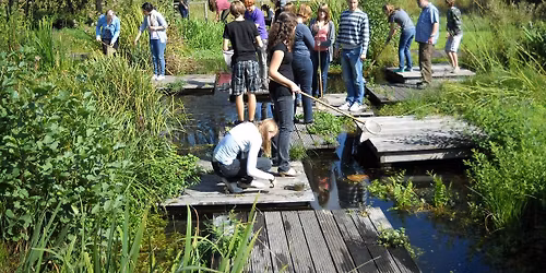 De Grote Water-Challenge: Wie ontdekt de meeste soorten?