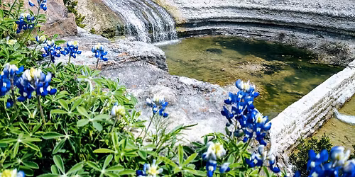 Spring Splendor - Cleburne (Day hike)