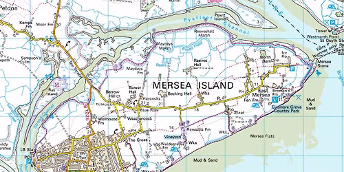 FourPlay @the Art Cafe