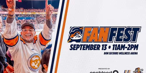 Jacksonville Icemen at Greenville Swamp Rabbits