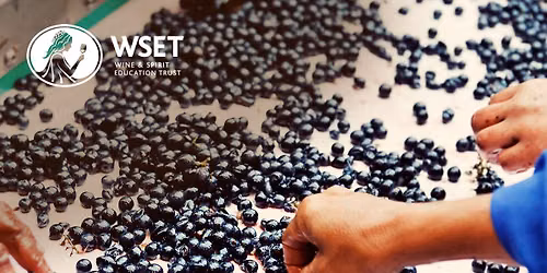 WSET Level 3 Award in Wines (English)