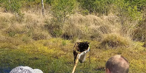 Family Wildlife Explorers
