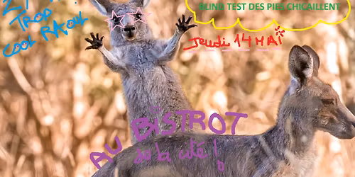 Le Blind Test Des Pies Chicaillent est de retour