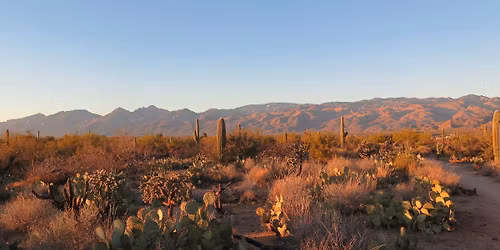 Live in Key West, FL