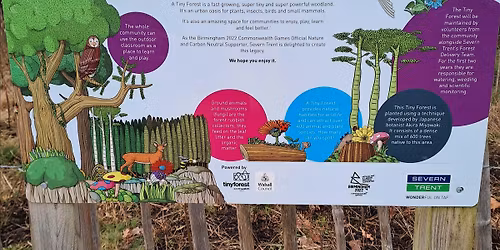 Earth Day: Walsall Arboretum Tiny Forest Visit