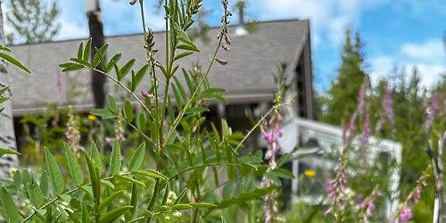 Alaska Wildflower Garden Work Party