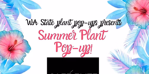 Summer Plants! 