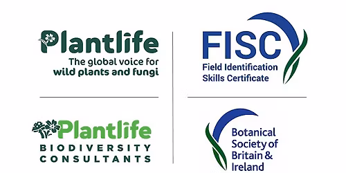 Plantlife FISC Assessment: Hampshire