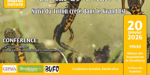 Conf\u00e9rence Mardi Nature : La Star de la Mare! Suivi du Triton cr\u00eat\u00e9 dans le Grand Est