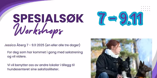 S\u00f8kskurs med Jessica \u00c5berg fra SWDI