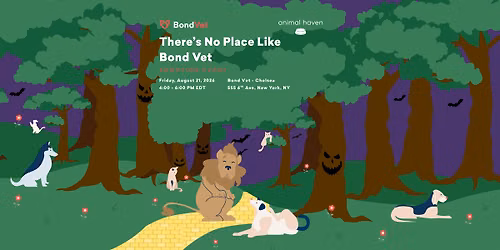 There's No Place Like Bond Vet - Chelsea