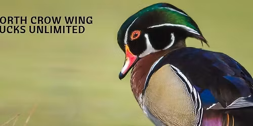 Ducks Unlimited Bingo Event - The Bears Den