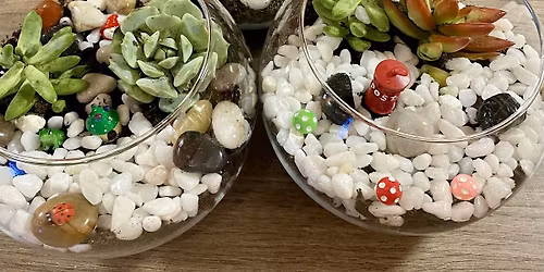 Saturday Succulent Terrarium Night at Alley Kat Artisans