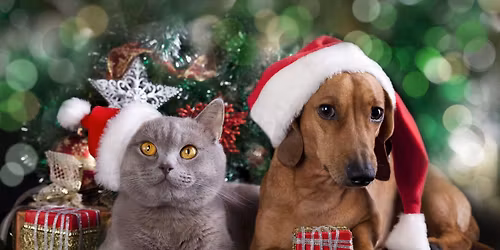 DON'T FORGET THE PETS!!!