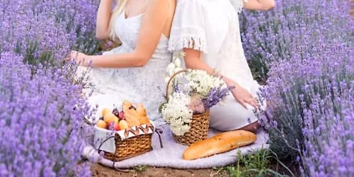 Excursi\u00f3n Campos de Lavanda de Brihuega