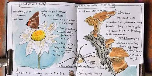 Nature Journaling with Sharon - 14th July PP