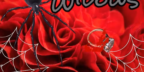 Murder mystery dinner in Bexley