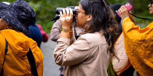 Birding for Beginners