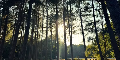 5k Daffodil Dash - A fundraising fun run for Marie Curie