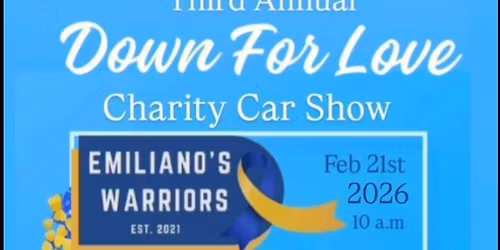 Down For Love 3rd Annual Charity Car Show