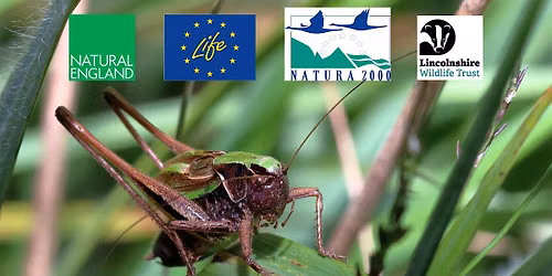 Invertebrate Trapping and ID Workshop