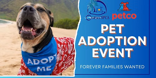 Oahu SPCA Adoption Event - Kapolei Petco